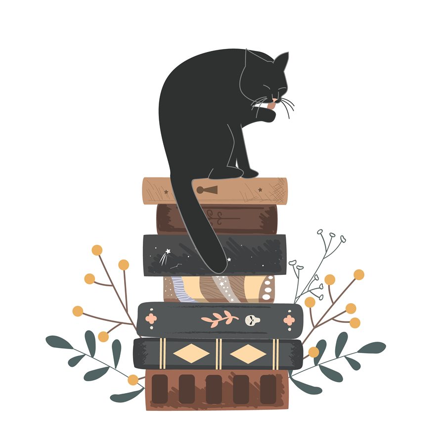 Black cat perched on a stack of cozy mystery books
